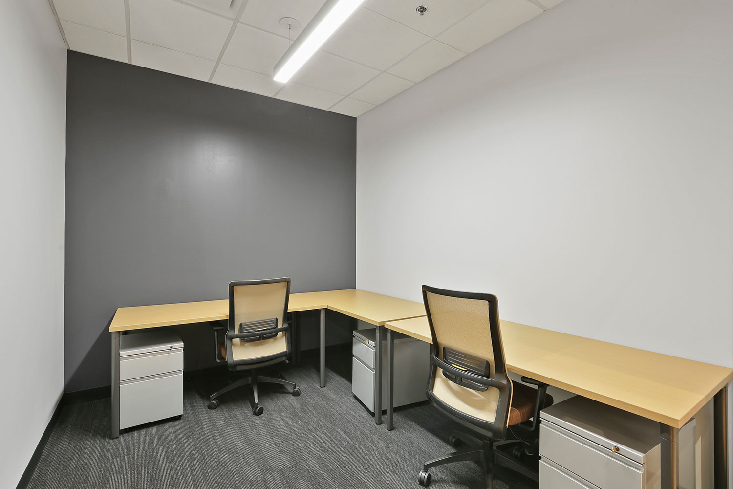 Venturex Coworking office space